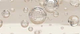 Ceramide