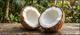 Coconut Oil